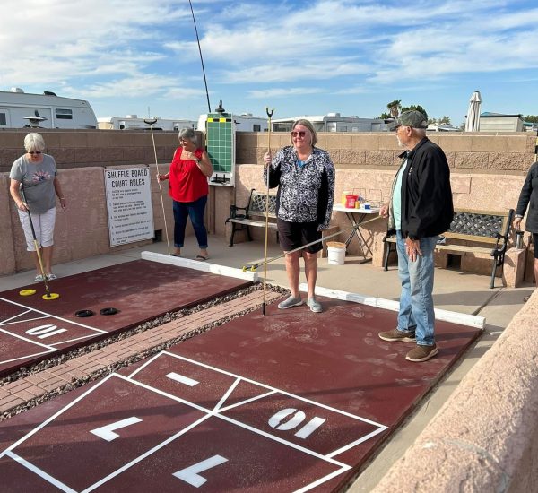 New-shuffleboard